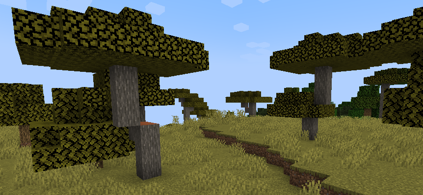 Acacia trees growing in the Savannah biome.