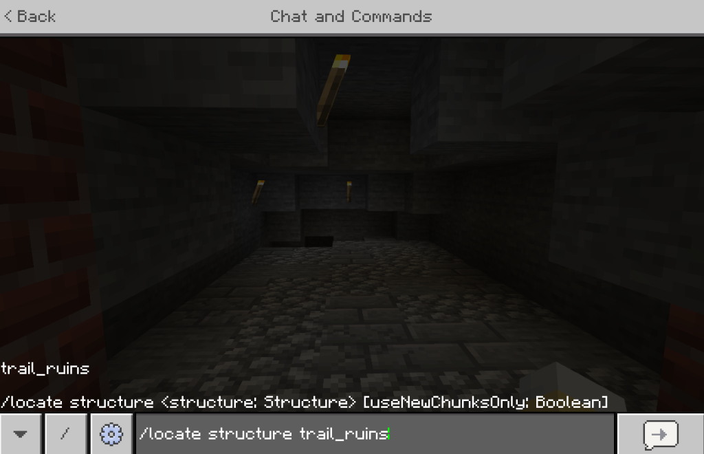 This image depicts how to input the "locate" command to find Trail Ruins structures easily.