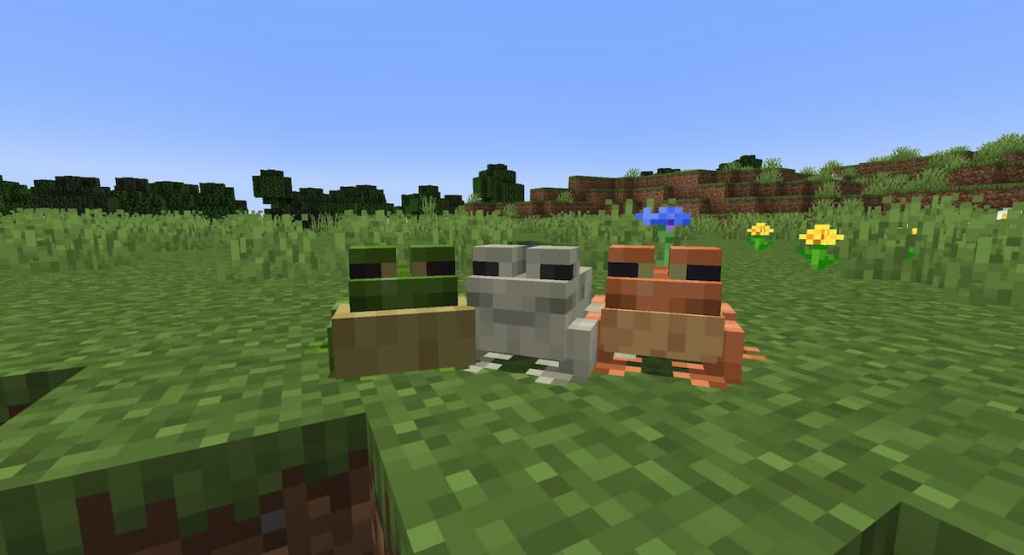 The three types of Frogs in Minecraft.