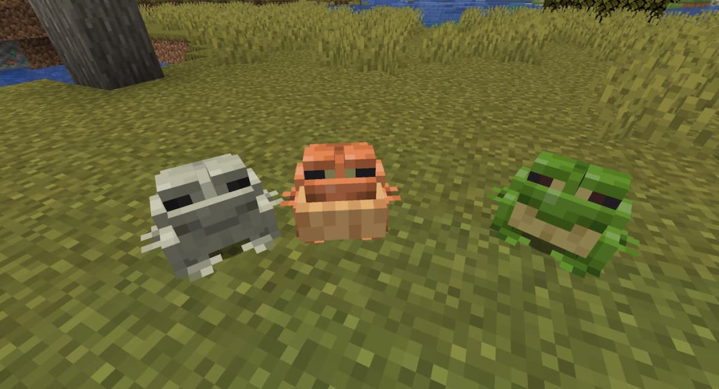 A Temperate Frog croaking next to a Warm Frog and a Cold Frog.