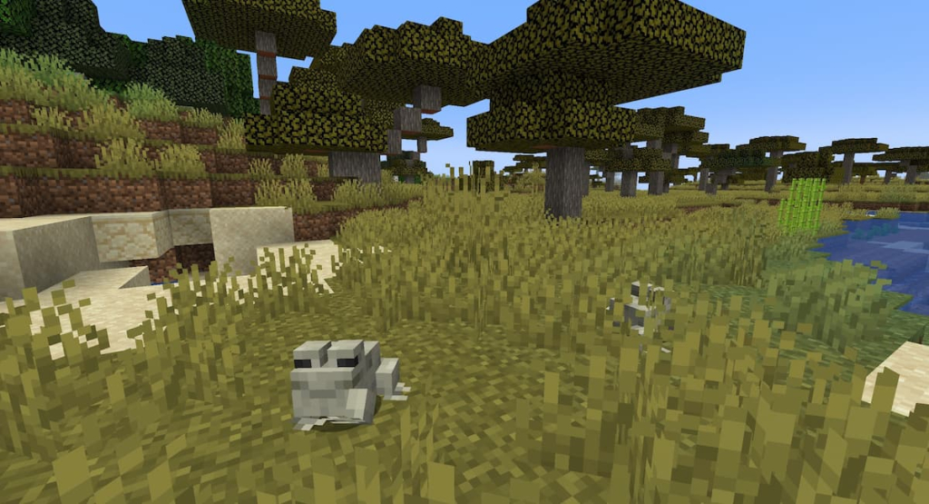 A white Frog in a Warm Savanna biome.