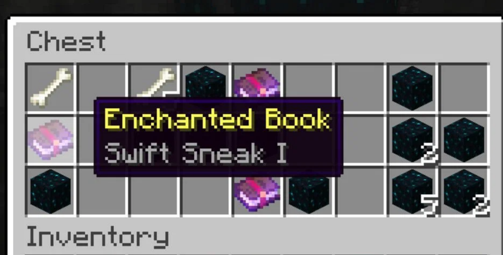 Chest with a Swift Sneak book