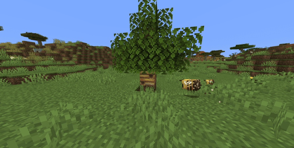 Bees nest in a grasslands biome